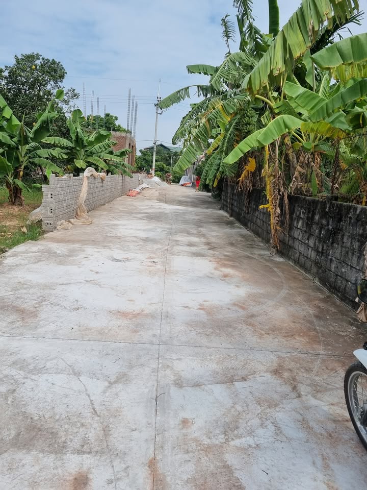 Lô đất Hồng Vân, Thường Tín 80m² giá 3 tỷ - Tiềm năng sinh lời cao!