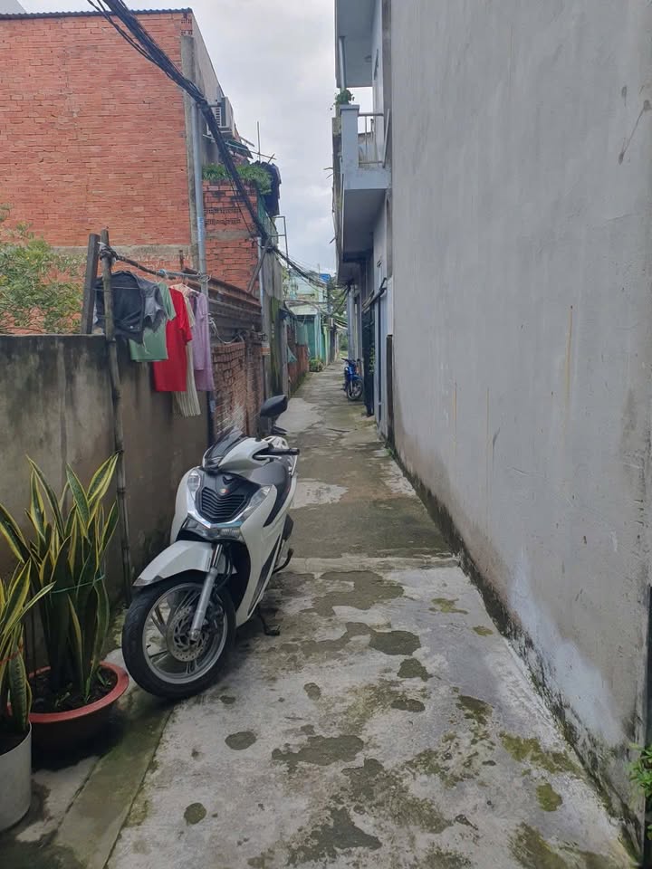 Nhà cho thuê tại đường Trần Thị Non, Long Thượng - Diện tích 40m² chỉ 3 triệu/tháng!