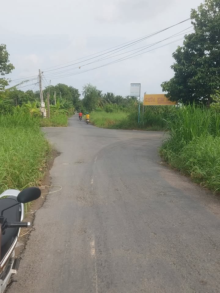 Đất nền Tân Thủy, Ba Tri 440m² giá 1.3 tỷ - Vị trí đắc địa gần ngã tư chùa Kim Cang!