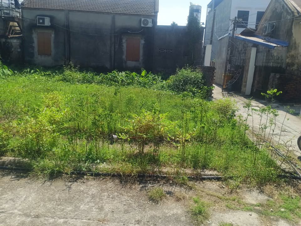 Lô góc đất nền Hoa Động, Thủy Nguyên 62.3m² giá chỉ 1.2 tỷ - Ô tô vào tận đất!