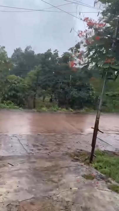 Đất nền Chư Prông 240m² giá thỏa thuận - Vị trí đắc địa gần trung tâm