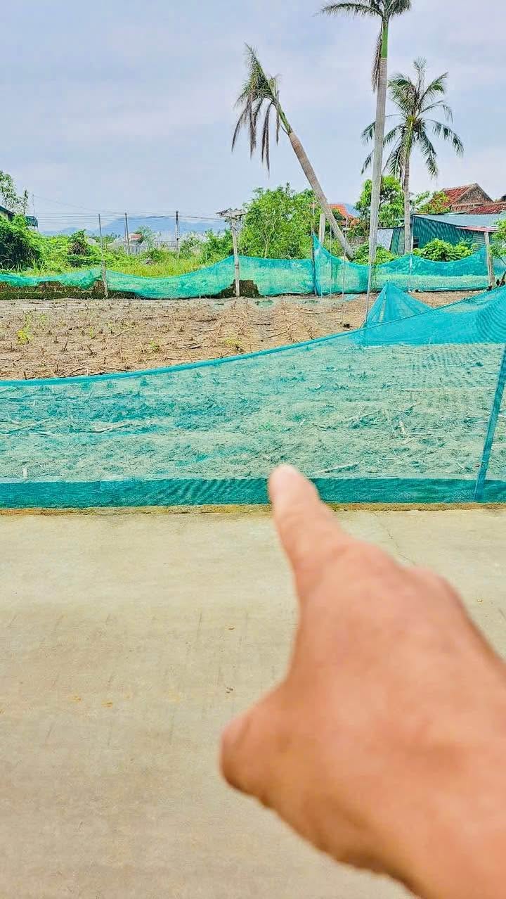 Đất thổ cư Nghi Liên 101,5m² giá thỏa thuận - Gần bệnh viện Ung Bướu!