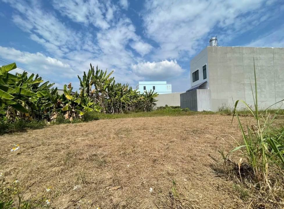 Đất thổ cư Tân Thông Hội, Củ Chi 135m² giá 2.15 tỷ - Đầu tư sinh lời ngay!