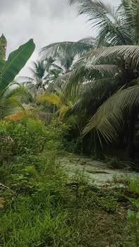 Đất Vĩnh Kim Châu Thành 540m² giá 650 triệu - Chính chủ bán gấp!