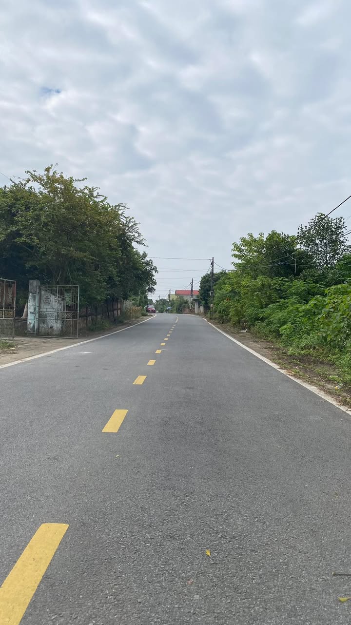 Đất thổ cư 225m² Phường Hy Cương giá 1 tỷ - Đầu tư sinh lời ngay!