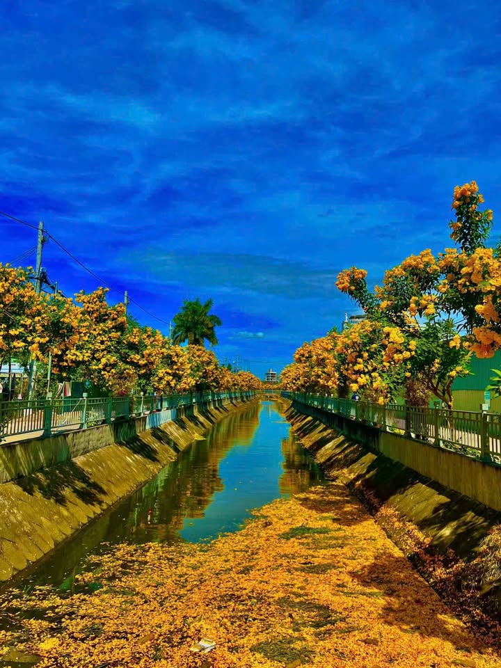 Nhà cho thuê mặt bờ kênh TL 37, Thạnh Lộc, quận 12 - Phù hợp cho cả gia đình và kinh doanh