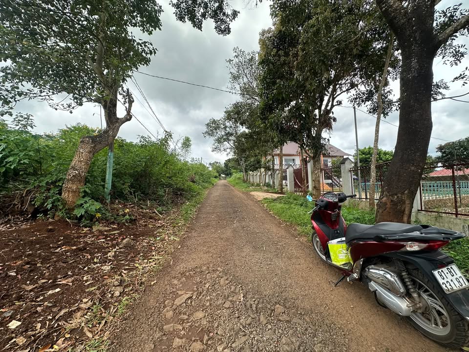 Đất nền 402.5m² tại Lê Thánh Tôn, Gia Lai giá 2 tỷ - Hướng Đông, sổ đỏ chính chủ!