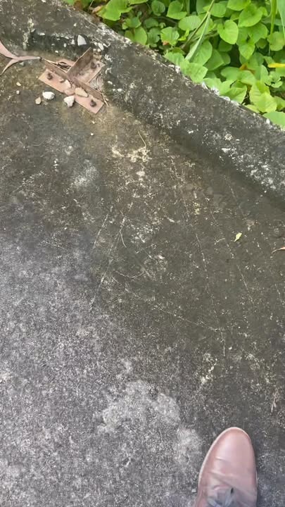 Đất nền Ô Môn, Cần Thơ 1685m² giá 5 tỷ - Đầu tư sinh lời vượt trội!