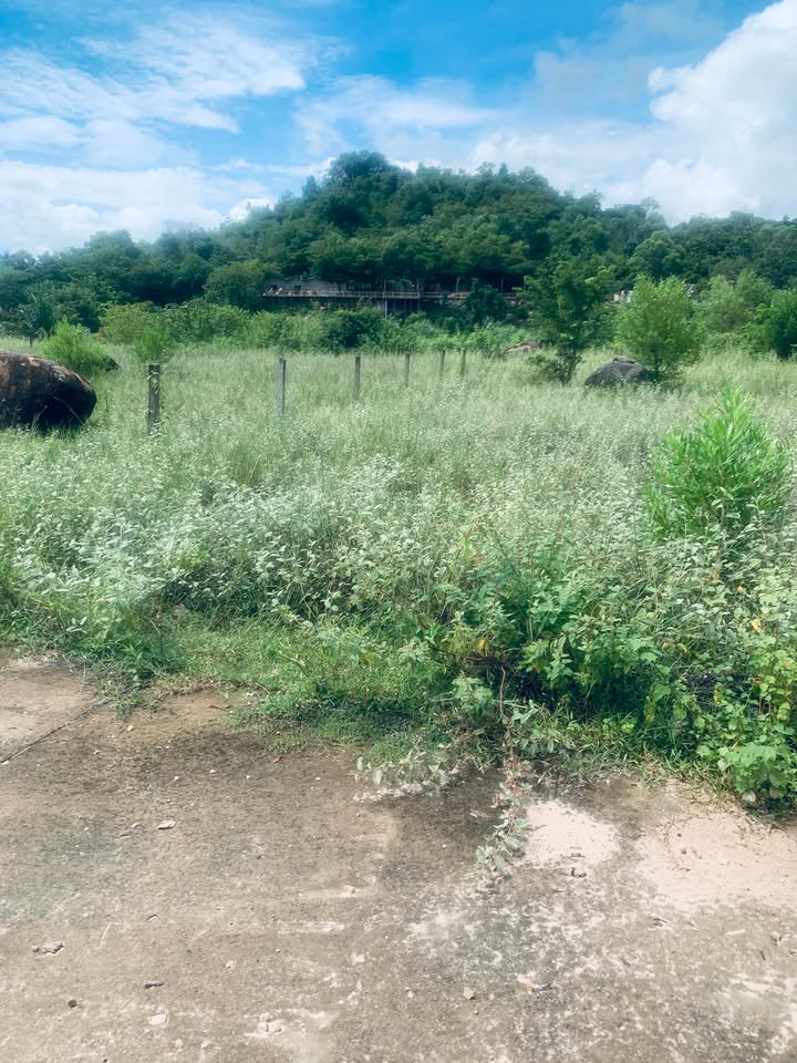 Đất thổ cư Cam Lộc 276m² giá 1 tỷ - Đầu tư sinh lời ngay!