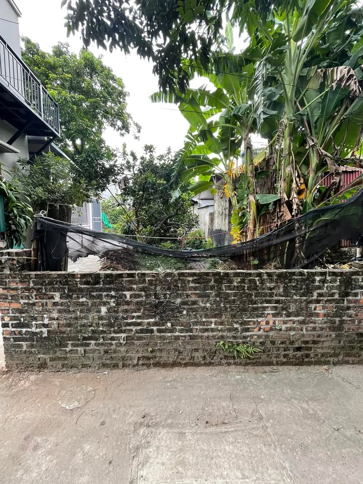 Đất nền Đại Thành, Quốc Oai 73m² - Đầu tư sinh lời cao!