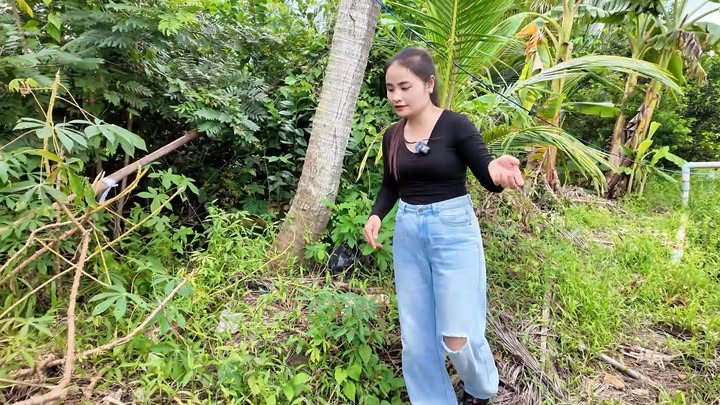 Đất mặt tiền đường DH31B, xã Bình Phước, huyện Mang Thít, 6743m² - Tiềm năng đầu tư vượt trội!