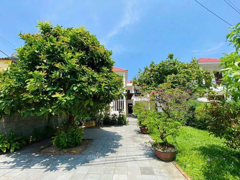 Cho thuê villa hồ bơi mặt tiền Lê Thánh Tông, Cẩm Châu, Hội An 300m² - Lý tưởng nghỉ dưỡng và kinh doanh!