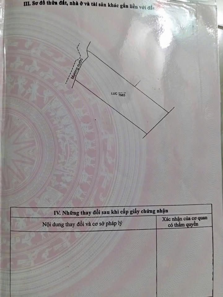Bán lô đất lúa Phú Long 7983m² giá chỉ 798 triệu - Đầu tư sinh lời tại An Giang!