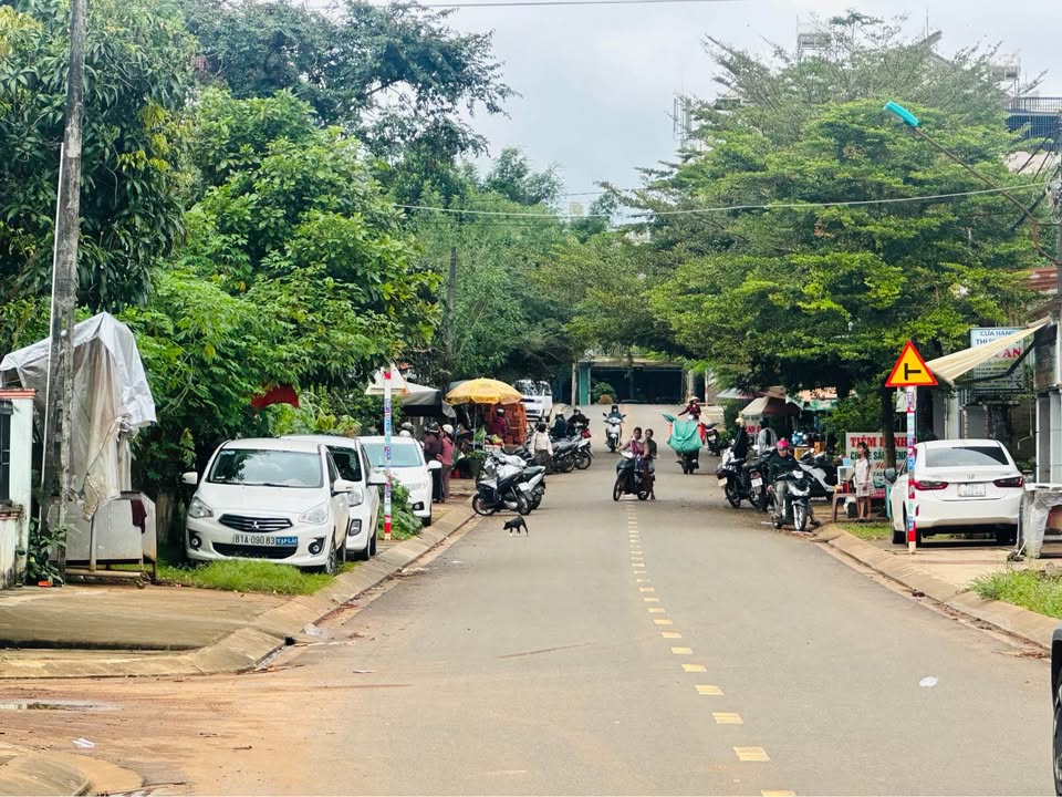 Đất mặt tiền Nguyễn Hữu Thọ, Pleiku 330m² giá 4.2 tỷ - Vị trí kinh doanh đắc địa!