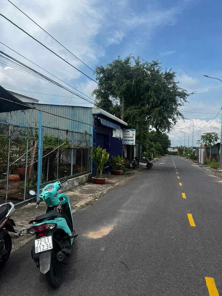 Nhà cấp 4 đường nhựa số 8, xã Tam Phước, huyện Long Điền - Diện tích 500m², giá chỉ 3.4 tỷ!