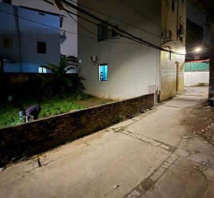 Đất phân lô Cổ Bi 58,5m² giá 4 tỷ - Ô tô vào tận nơi!