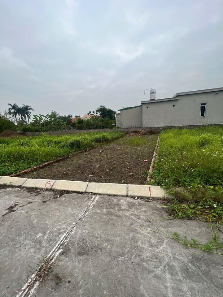 Đất nền An Thọ, An Lão 66m² giá thỏa thuận - Đường thông ô tô tận cửa!