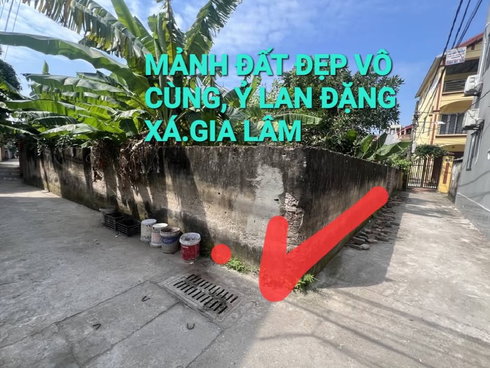 Đất thổ cư Đặng Xá, Gia Lâm 52m² giá 4 tỷ - Sổ đỏ chính chủ, Tiềm năng phát triển!