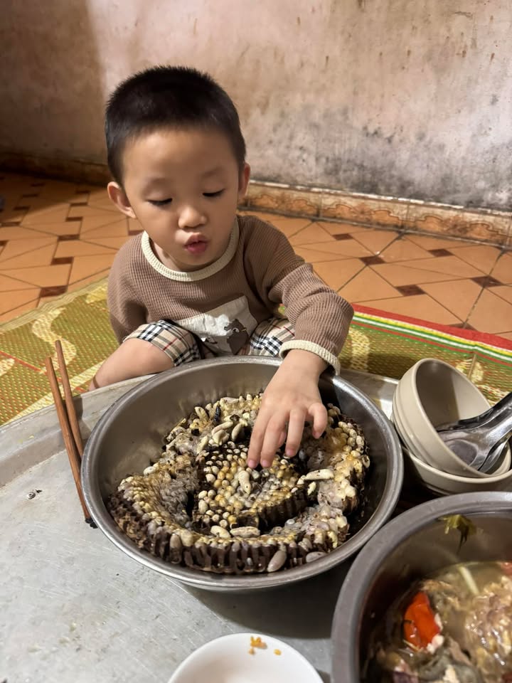 Đất thổ cư 750m² tại Mộc Châu - Gần cầu kính Bạch Long, chỉ 3 tỷ!