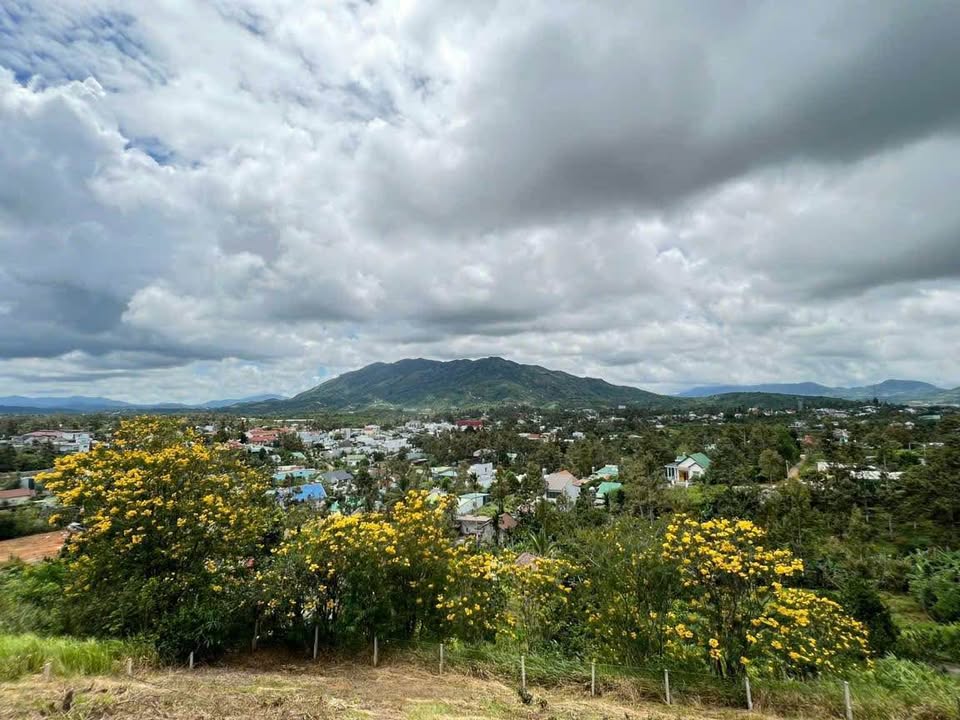 Đất nền B’Lao Bảo Lộc 502m² giá 5.5 tỷ - Sổ đỏ chính chủ, vị trí đẹp