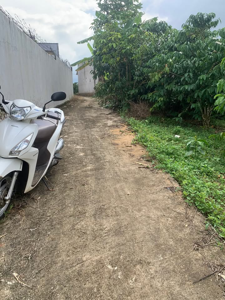 Đất vườn cà phê 1800m² giá 1.45 tỷ - Quy hoạch thổ cư tại Bảo Lộc!