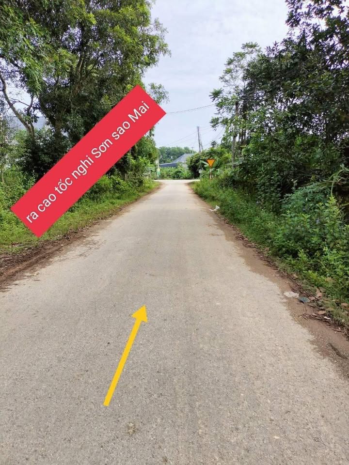 Đất nền Thọ Tiến, Triệu Sơn 117m² giá 400 triệu - Cơ hội đầu tư hấp dẫn!