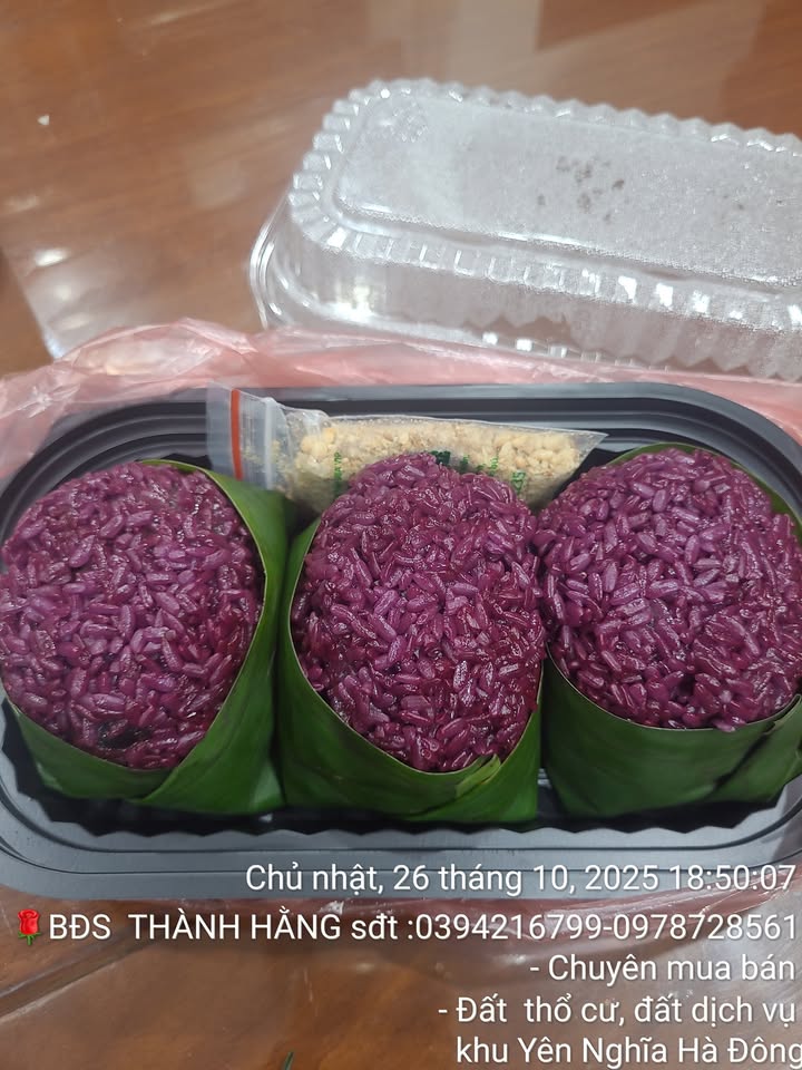 Đất nền khu phố 14, phường Yên Nghĩa, 44m² giá chỉ 2 tỷ - Sổ đỏ chính chủ, ô tô gần bên!