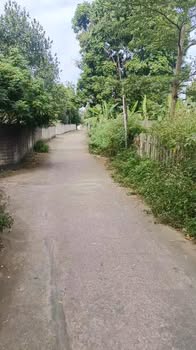 Đất nền Thắng, Hiệp Hòa 105m² giá 800 triệu - Cơ hội đầu tư hiếm có!