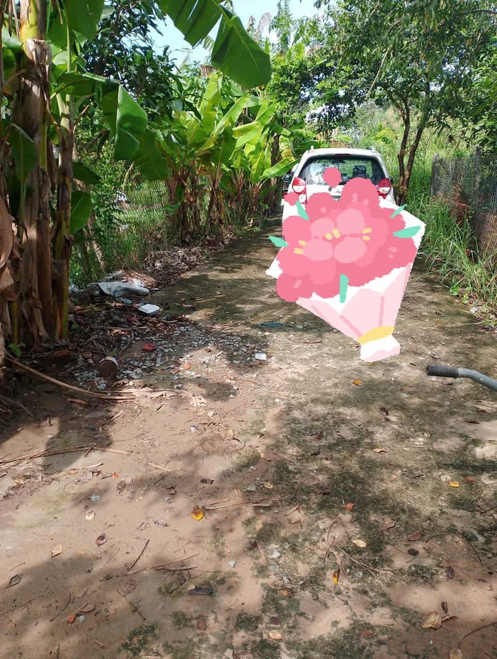 Đất Vĩnh Thông, Rạch Giá 500m² giá 500 triệu - Đường ô tô vào tận nơi!