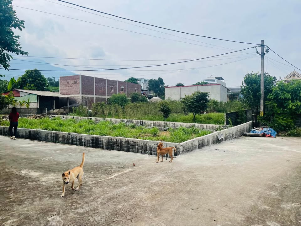 Đất nghỉ dưỡng Yên Bài 350m² giá chỉ 2 tỷ - Đầu tư sinh lời ngay!