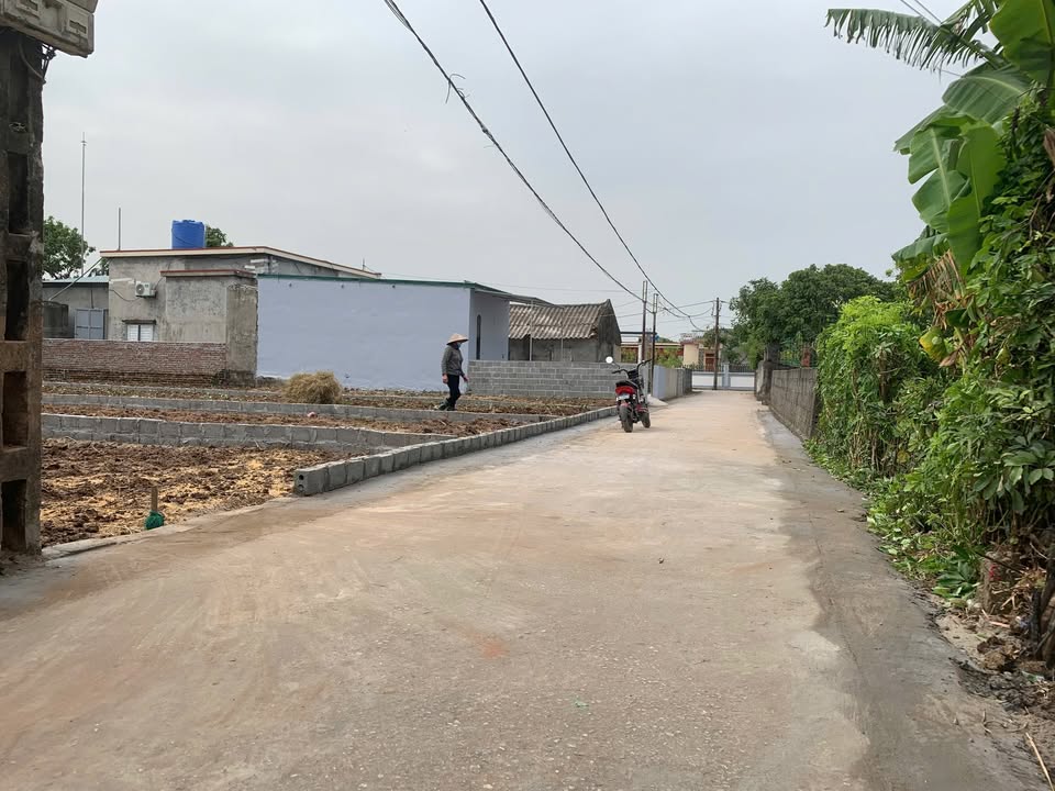 Đất nền Nam Trung Tiền Hải 120m² giá chỉ 700 triệu - Cơ hội vàng cho nhà đầu tư!