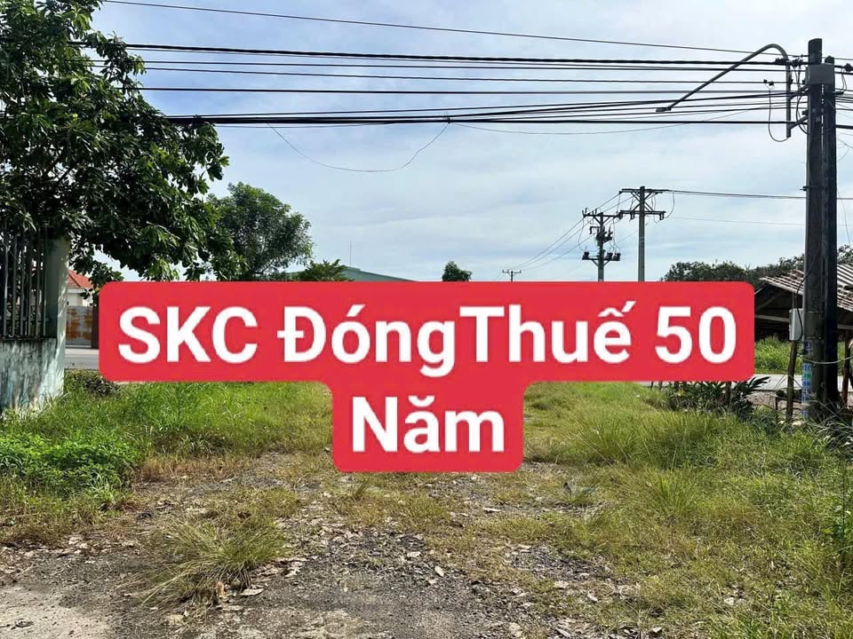 Đất SKC 9.742m² mặt tiền ĐT 749A, Long Nguyên - Đầu tư sinh lời bền vững!