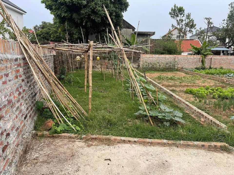 Đất nền 65m² tại Yên Ninh, Sóc Sơn - Gần sân bay Nội Bài chỉ 1.2 tỷ