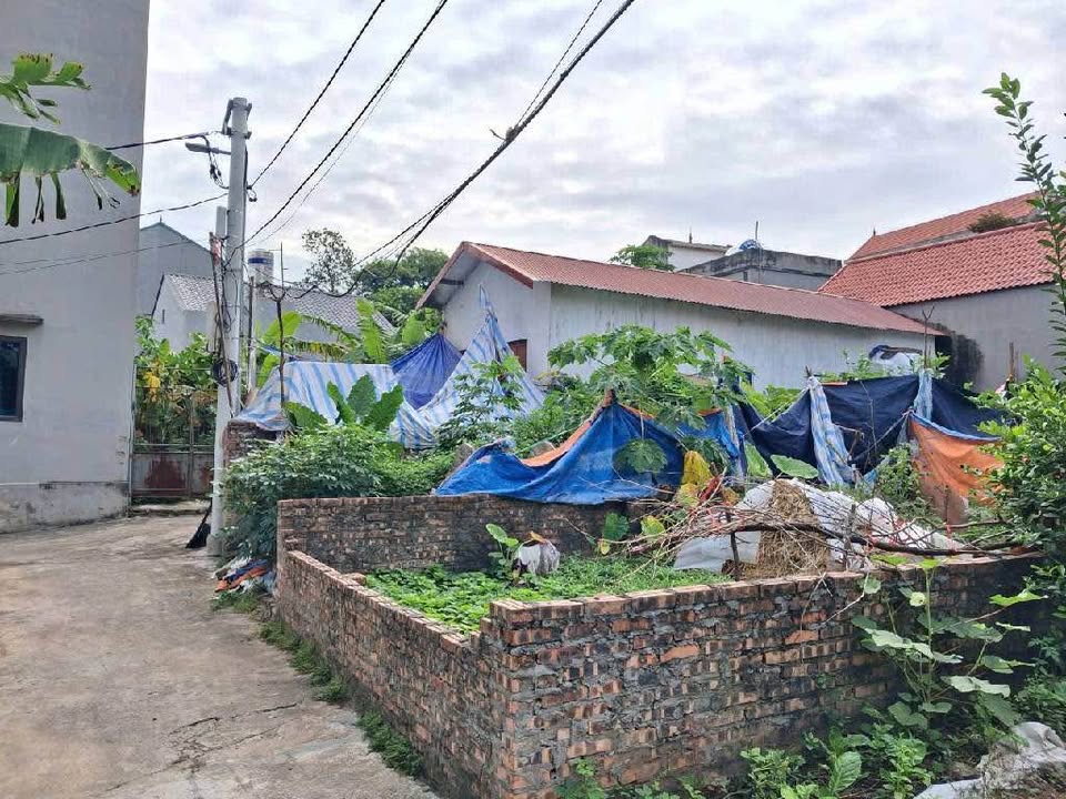 Đất thổ cư Lệ Chi, Gia Lâm 75.6m² giá 3.9 tỷ - Ngõ ô tô vào tận nhà!