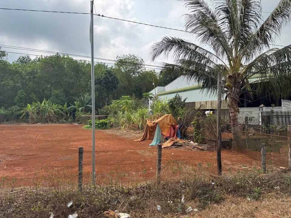 Đất nền Mê Linh, Đức Cơ, Gia Lai 245m² giá 480 triệu - Cơ hội đầu tư hấp dẫn!