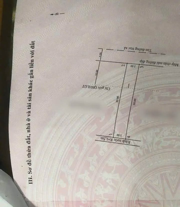 Đất nền xã Tân Dân, huyện An Lão 150m² giá 2.1 tỷ - Mặt tiền đường trục rộng rãi!