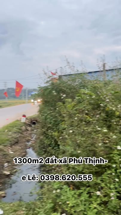 Đất nền Phú Thịnh Đại Từ 1300m² giá 3 tỷ - Đầu tư sinh lời ngay!