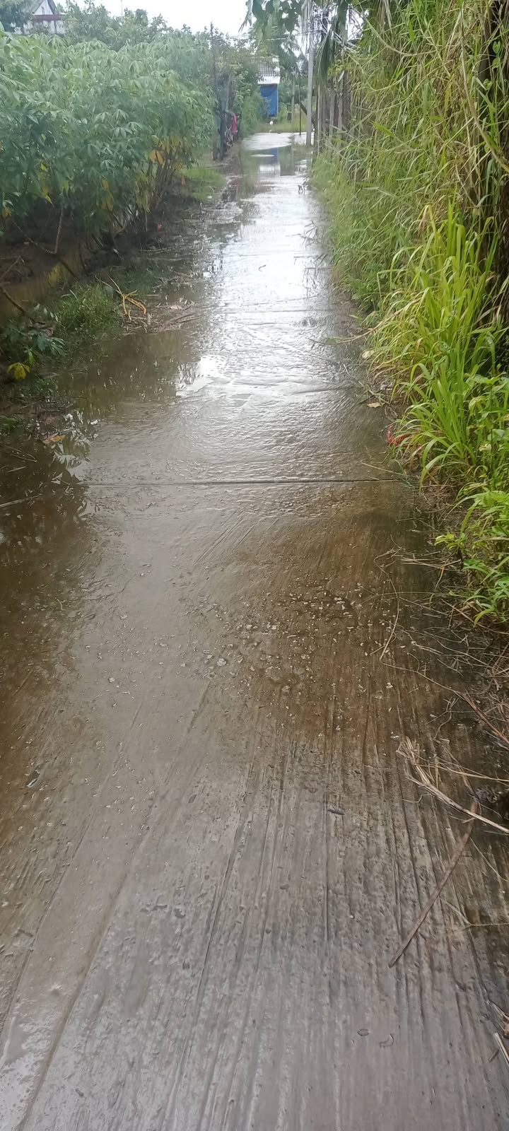 Đất mặt tiền đường An Ngan 640m² giá 1.15 tỷ - Cơ hội đầu tư hấp dẫn!