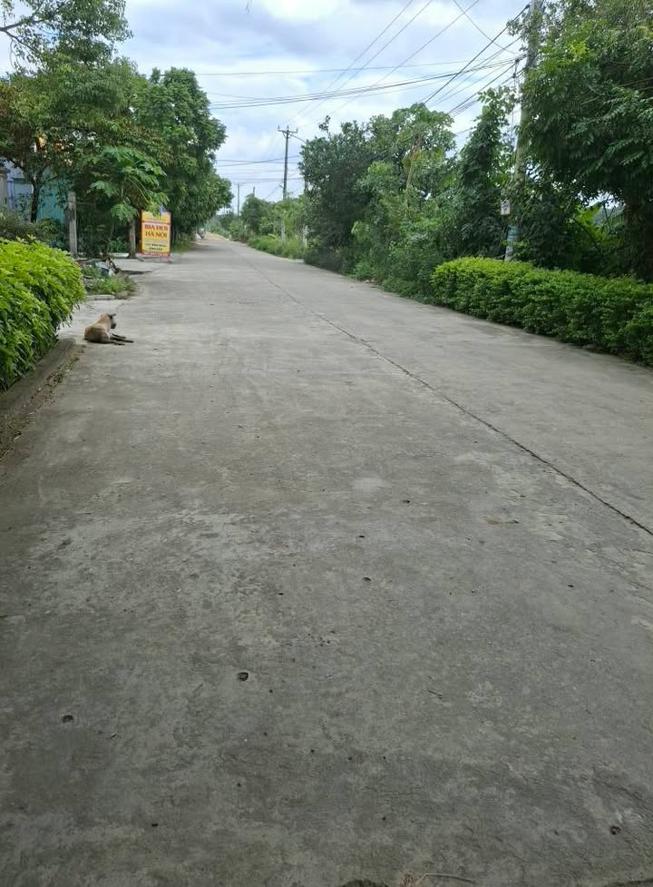 Đất nền Tân Thanh, Thanh Liêm, Hà Nam 100m² giá 1.1 tỷ - Đầu tư sinh lời ngay!