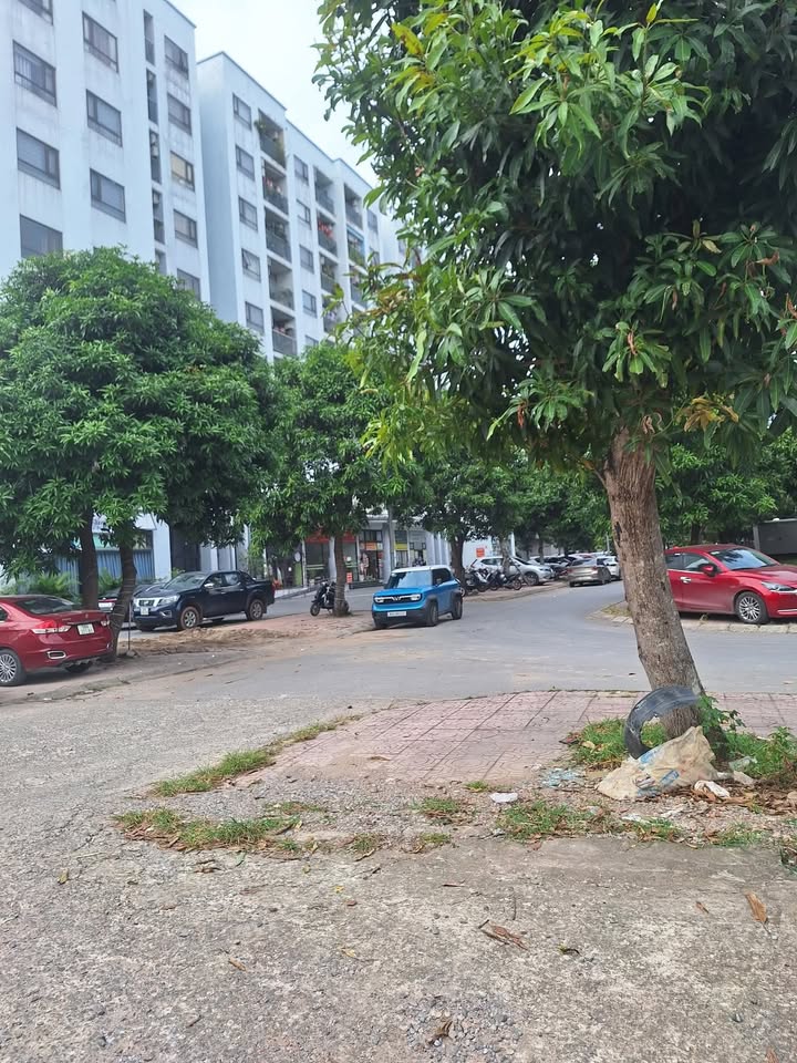 Lô đất đẹp 100m² tại trung tâm TP. Bắc Giang giá 3 tỷ - Đầu tư sinh lời lý tưởng!