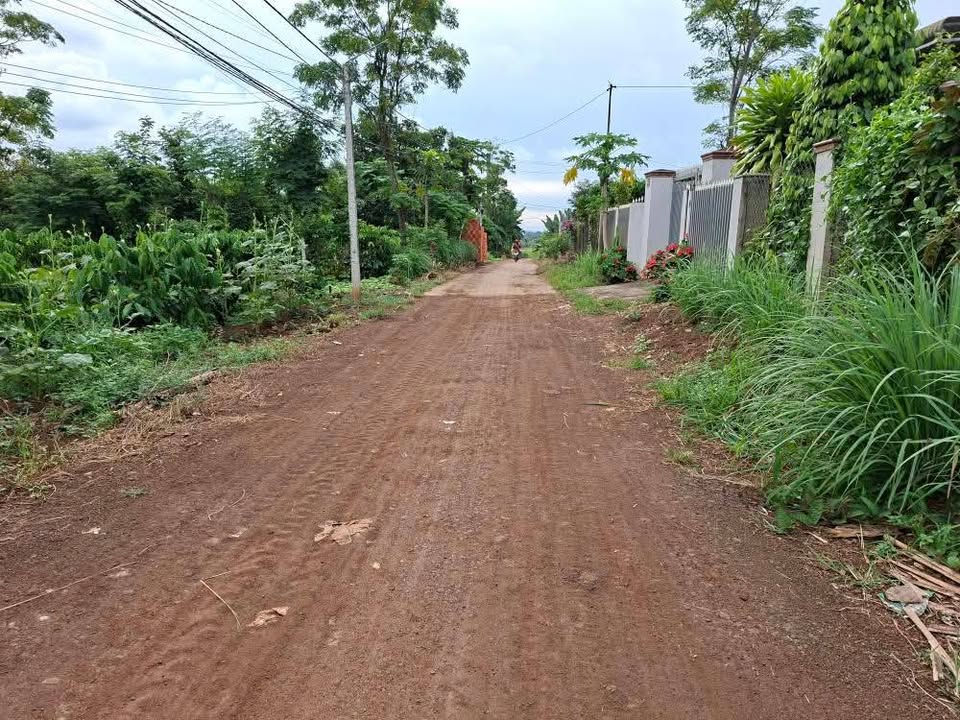 Đất nền 600m² tại Cuôr Knia, Buôn Đôn - Giá chỉ 2.4 tỷ VND, cơ hội đầu tư tuyệt vời!