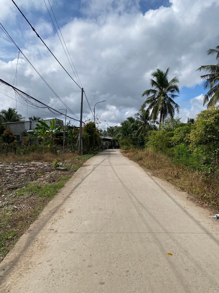 Đất nền mặt tiền Trần Thị Điệu 120m² giá 1.15 tỷ - Cơ hội đầu tư tuyệt vời!