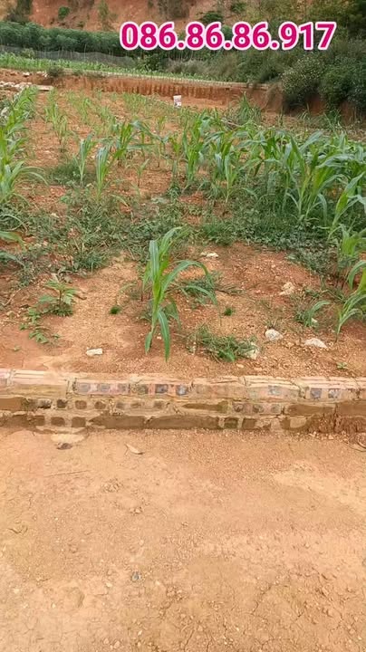 Đất nền liền kề tại xã Tu Vũ, Phú Thọ - Pháp lý rõ ràng, tiềm năng tăng giá cao!