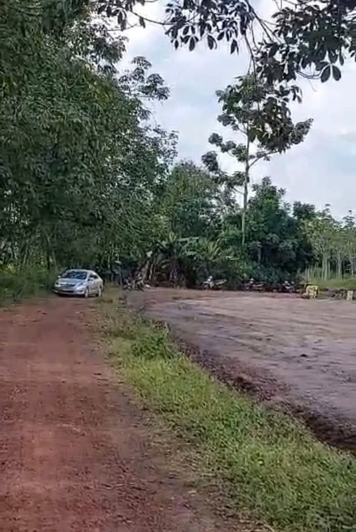 Đất Farm 4,1 mẫu tại Tân Hòa, Tây Ninh - Mặt tiền đường đất đỏ, giá chỉ 1.59 tỷ