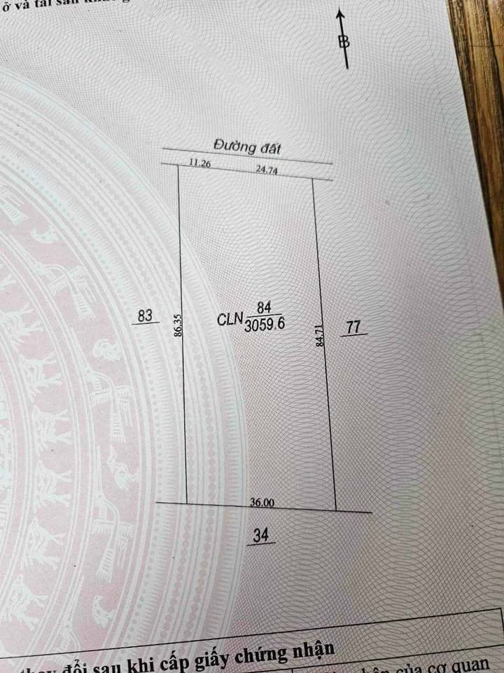 Đất nền Phước Vinh, Châu Thành 16.000m² giá chỉ 700 triệu - Cơ hội đầu tư hiếm có!