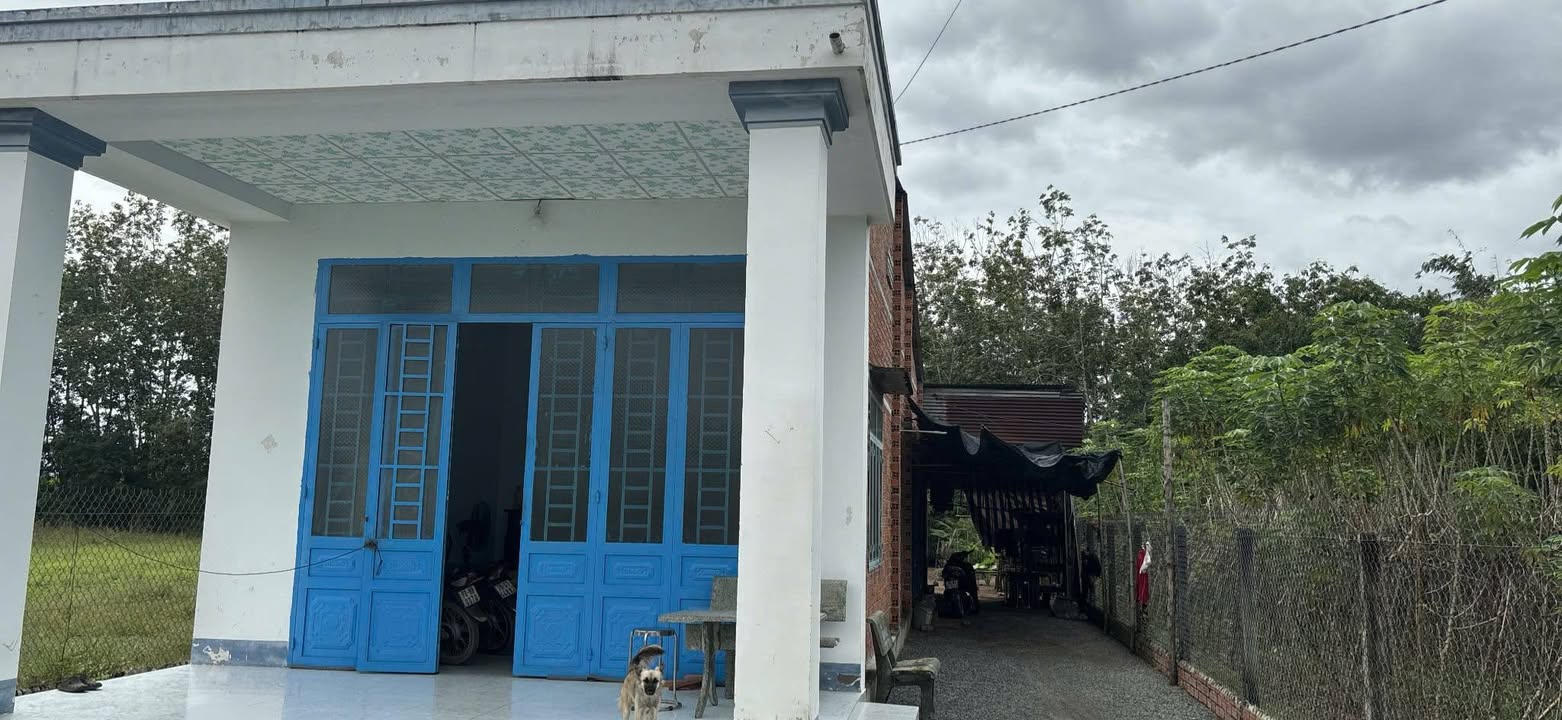 Nhà bán tại xã Hảo Đước, Tây Ninh - Diện tích 513m², giá 800 triệu - Cần bán gấp!