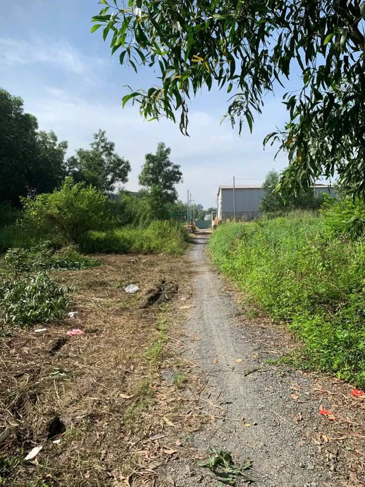 Bán lô đất Hố Nai, Biên Hòa, Đồng Nai 261m² - Sổ riêng chính chủ, giá tốt!