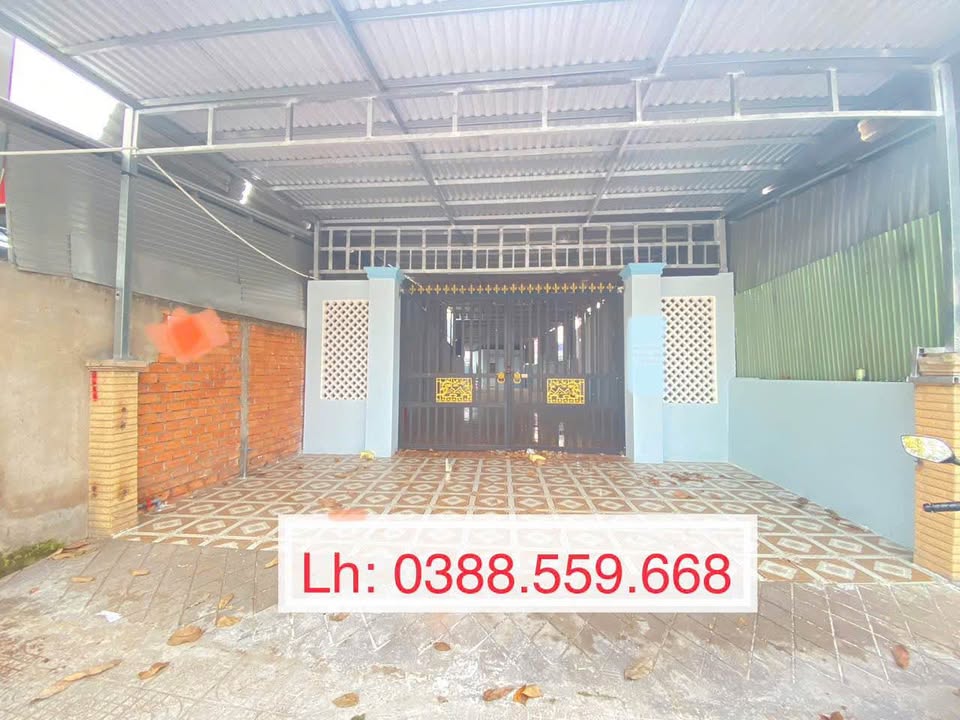 Nhà cho thuê mặt tiền đường Phó Cơ Điều, Vĩnh Long 356m² - Nhà mới 100%!