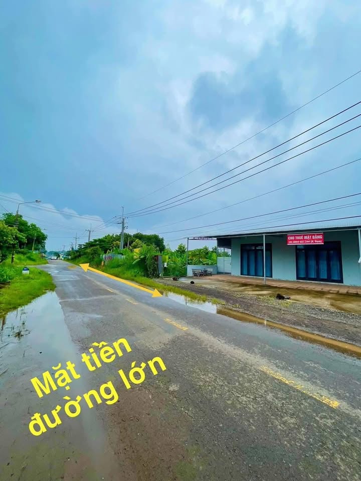 Đất thổ cư 12365m² xã Hưng Thịnh, Trảng Bom - Giá chỉ 23 tỷ, thương lượng tốt!