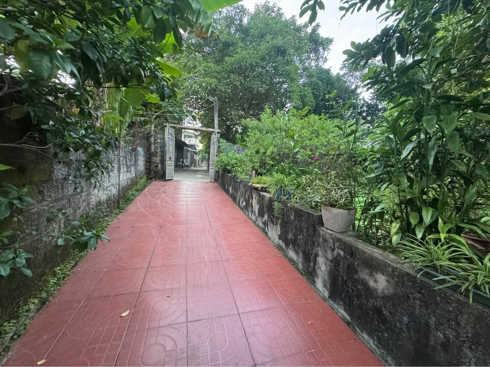 Bán nhà cấp 4 Đường Lý Đạo Thành, Yên Bái 218m² chỉ 1 tỷ - Tiện nghi đầy đủ!